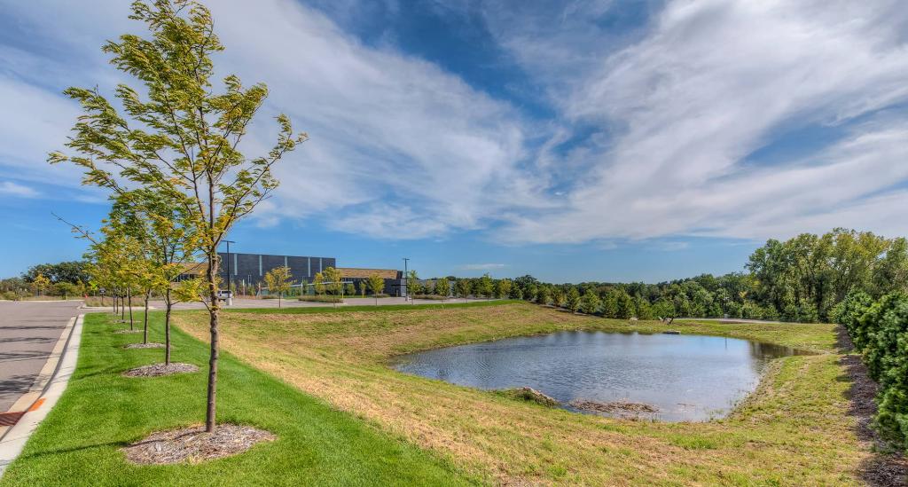 Apleistų teritorijų sutvarkymas